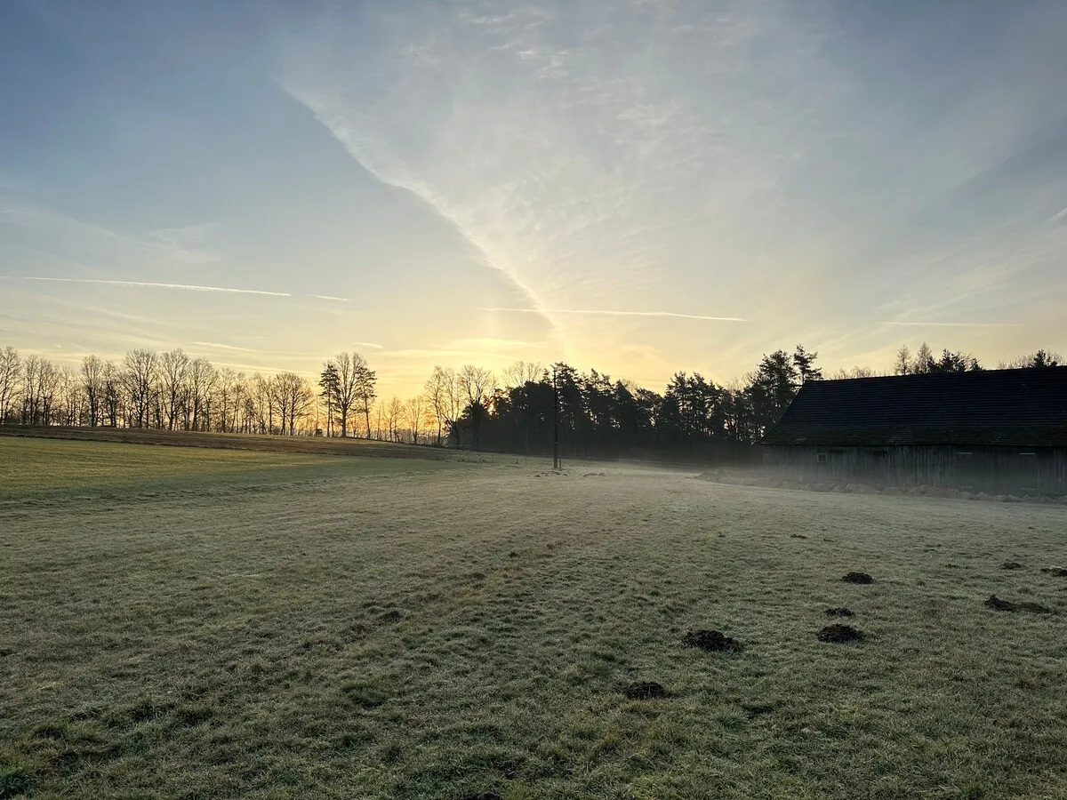 Morgennebel über den Koppeln des Gestüts Gut Seyerhof